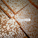 揭開 Decred (DCR) 價格起伏背後的真相：投資前你必須知道的關鍵